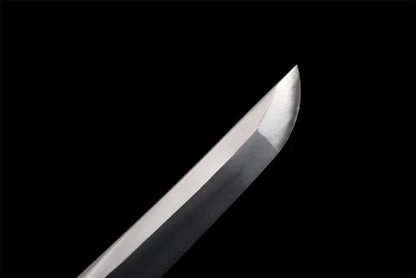 lame-Serpent-Prehistorique